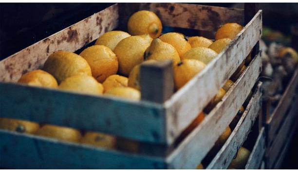 Maersk Extends Cold Chain Solutions To Pakistan’s Citrus Exporters For Better Customer Experience And Higher Convenience