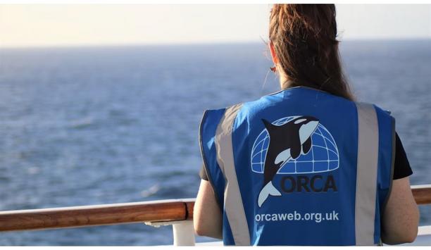 Over 4,400 wildlife sightings made by marine conservation charity - ORCA from Fred. Olsen ships in 2022