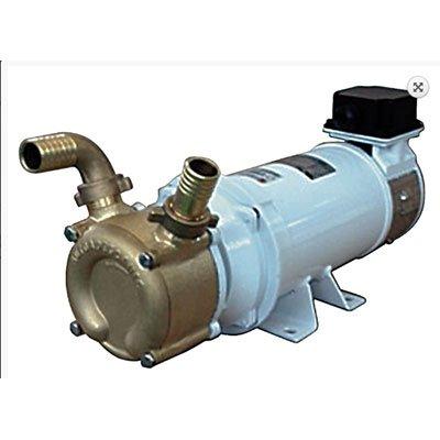 C.E.M. Elettromeccanica 030 MP Self-priming electric pump