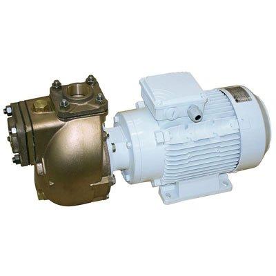 C.E.M. Elettromeccanica AM 50 (230-400T) Three Phase Alternating Current Self-Priming Centrifugal Bronze Electric Pump