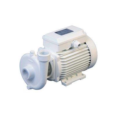 C.E.M. Elettromeccanica CE 20 (230M) Single-Phase Alternating Current Centrifugal Electric Pump