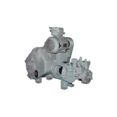 Shinko HPL 2 Horizontal Simplex Double Acting Pump