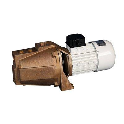 C.E.M. Elettromeccanica JBR Direct Current Self-Priming Bronze Electric Pump