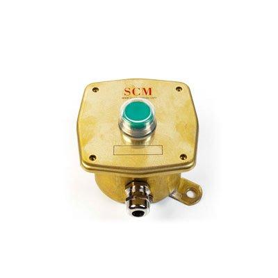 SCM Sistemas PUL-1-MG Push Button For One Extension